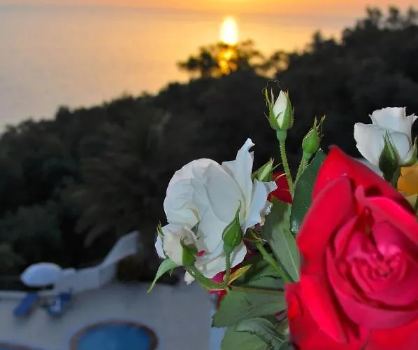 Apartament Beautiful Maria With Amazing Pool - Agios Gordios